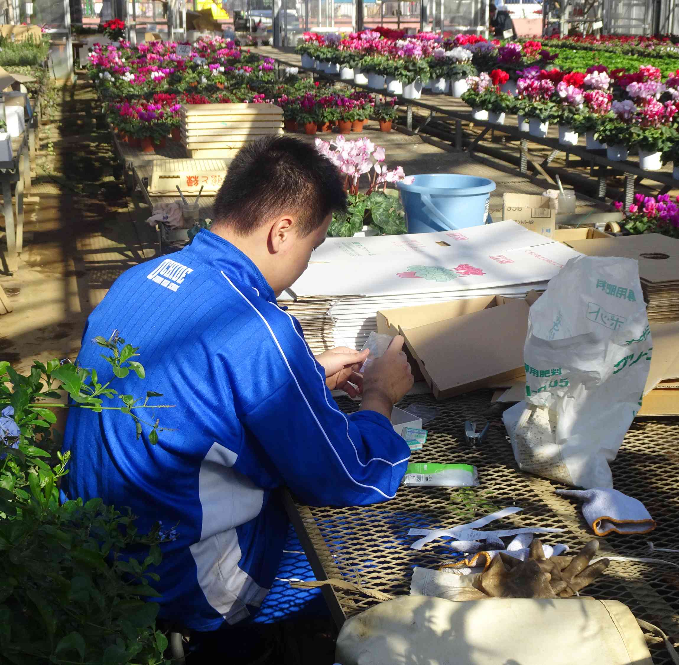 DSC06626小竹加工